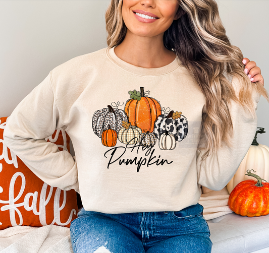 RTS Hey Pumpkin Screen Print transfers size ADULT 9.5x12